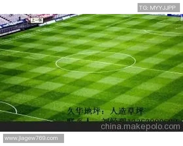 深入分析西安足球队阵地战策略及其战术特点解析