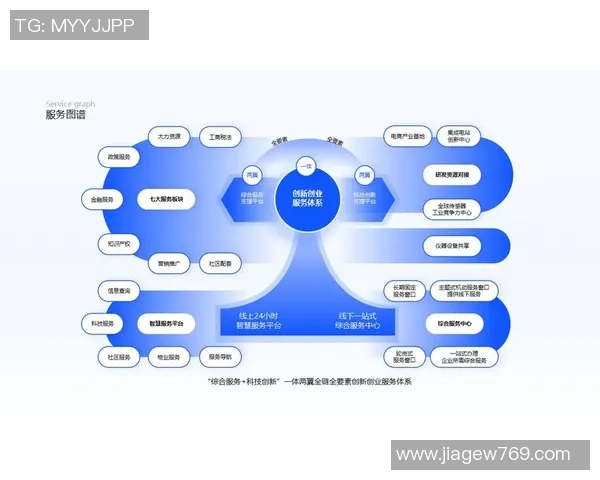 深入分析BLG的运营策略与战术布局探讨